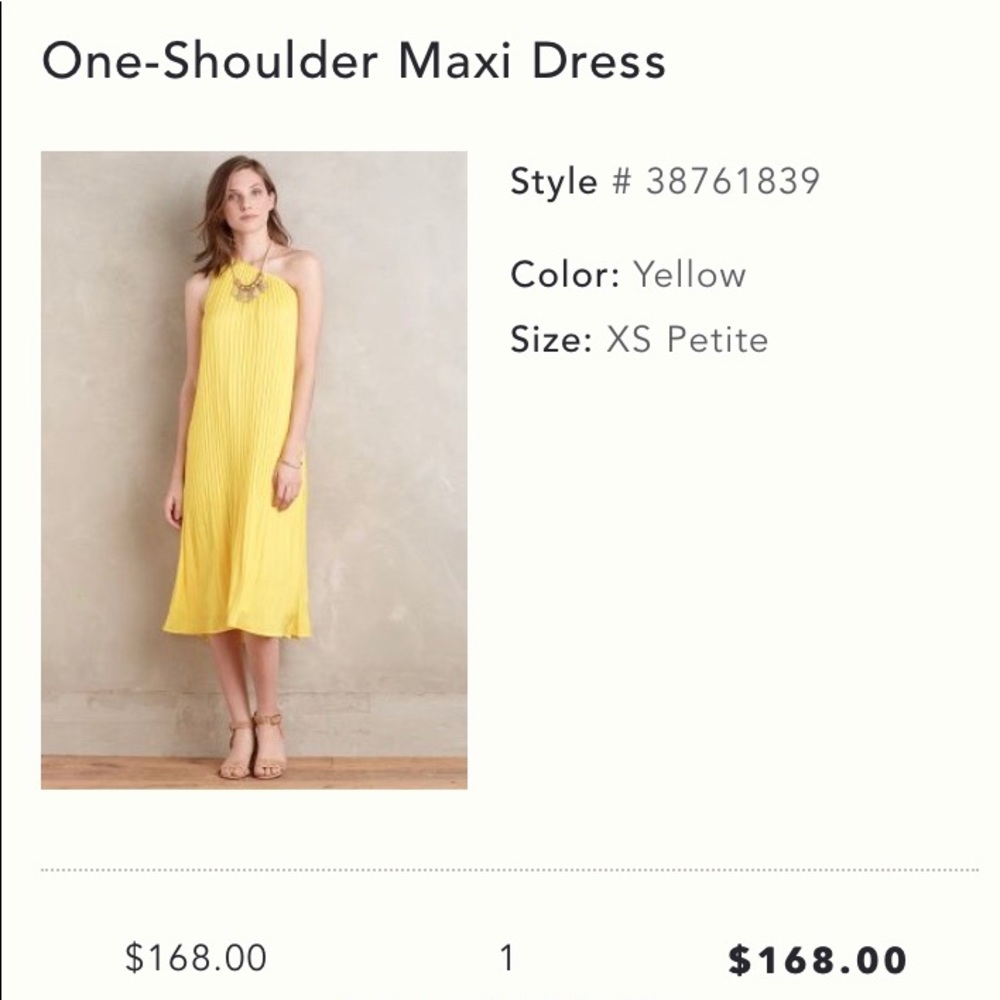 NWT One shoulder maxi dress